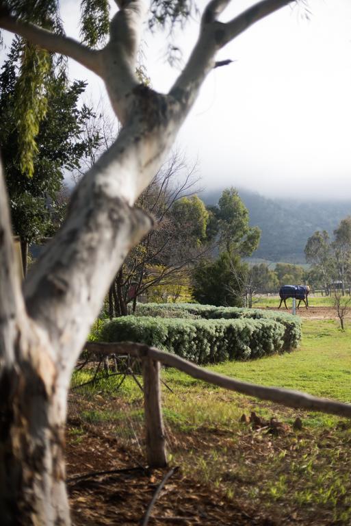 Hope Farm Guesthouse ヨーク エクステリア 写真